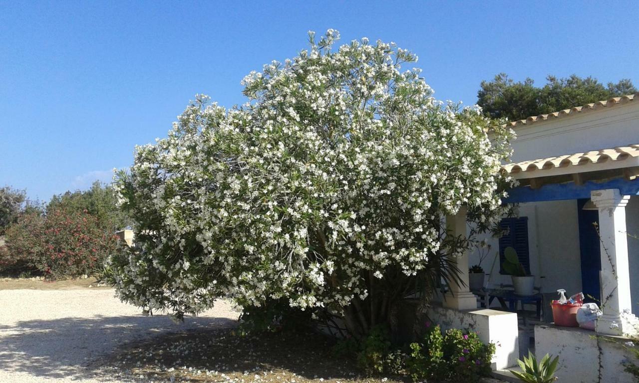 Can Gallet 1 San Francisco Javier Экстерьер фото